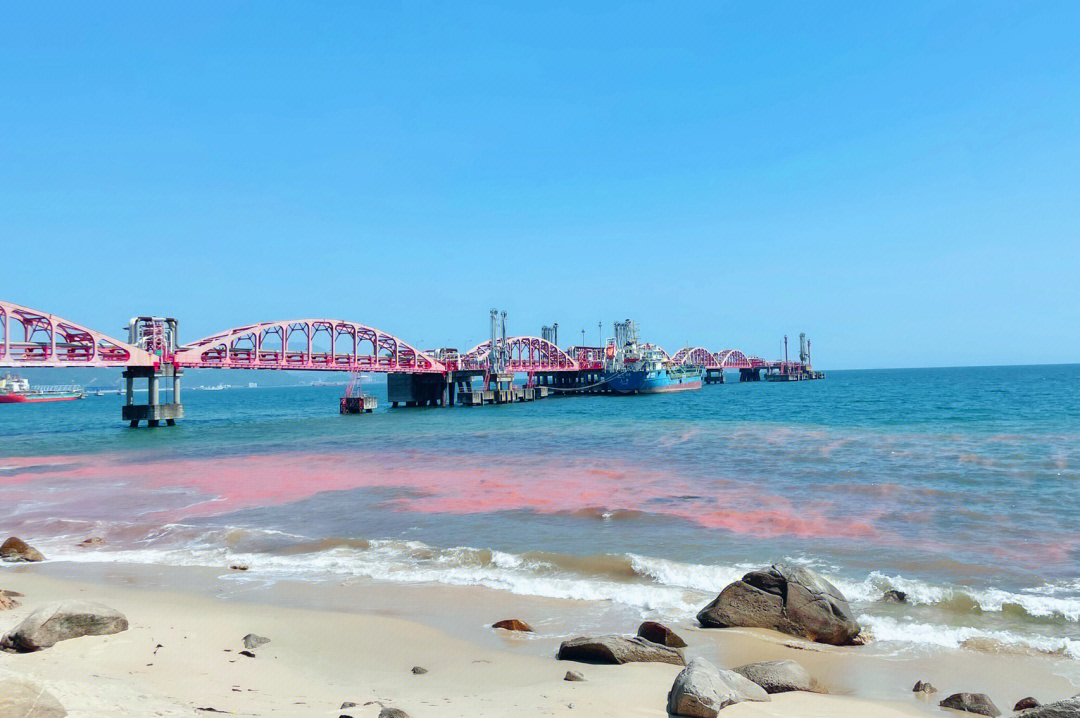 深圳打卡粉色的玫瑰海岸