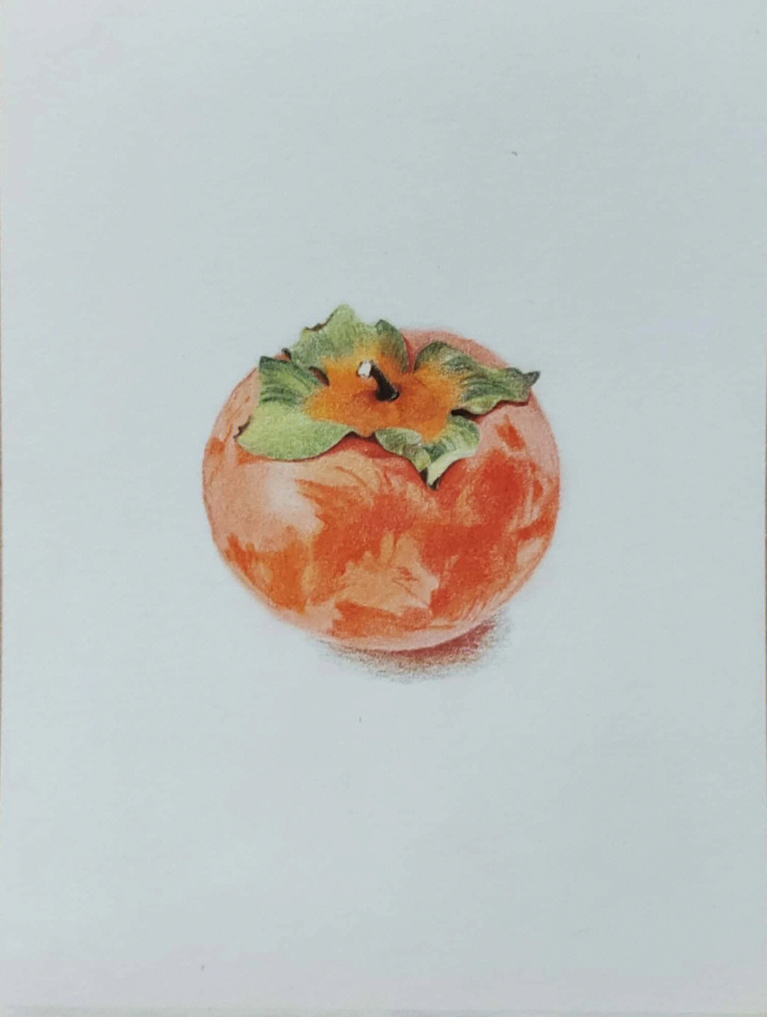 柿子彩铅画