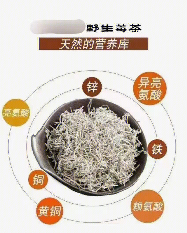 越南抱茎茶的食用价值图片