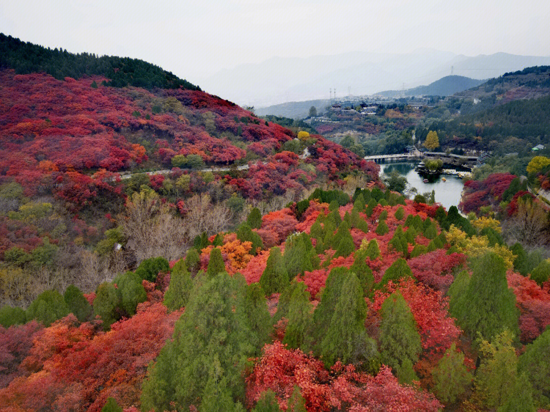 红叶谷景区在哪图片