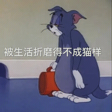 汤姆猫西装抽烟头像图片