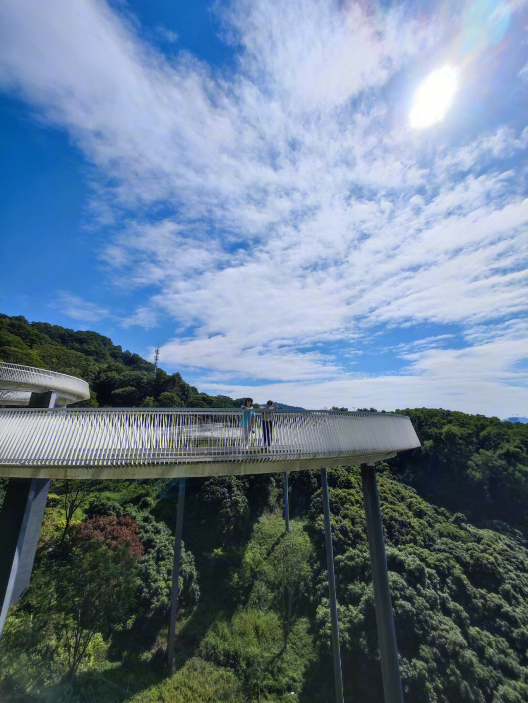 周末徒步打卡大顶岭山林公园绿道