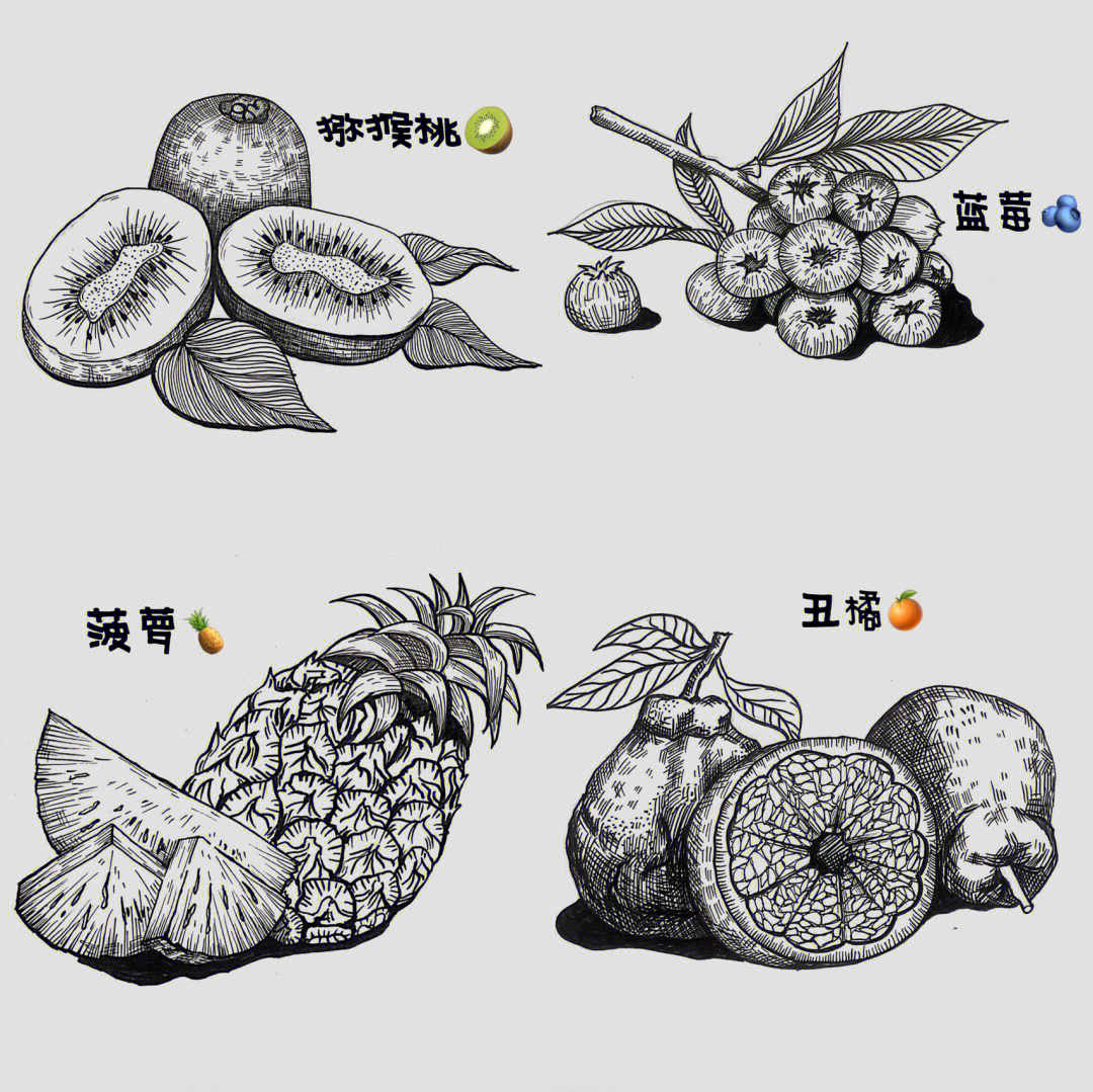 水果组合线描画图片