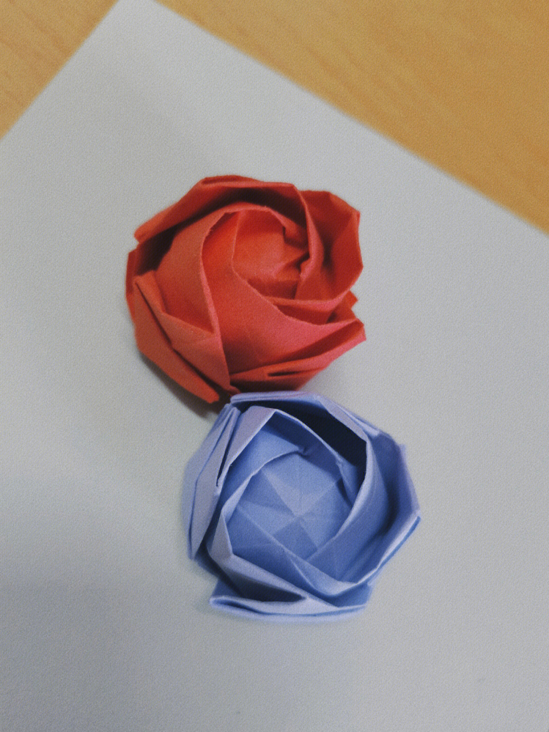 折纸的白叔pt玫瑰图片