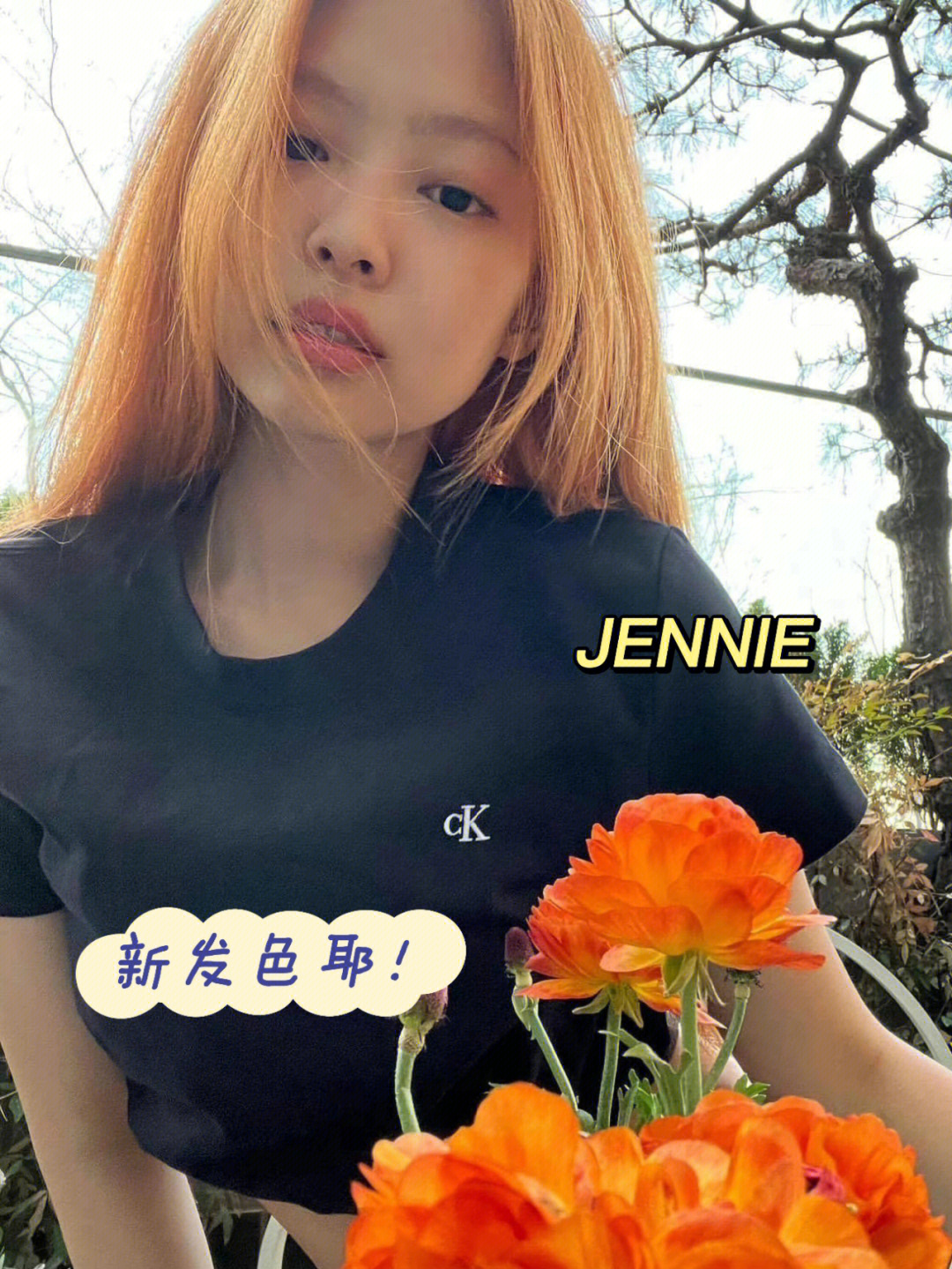 gemini女朋友染染图片