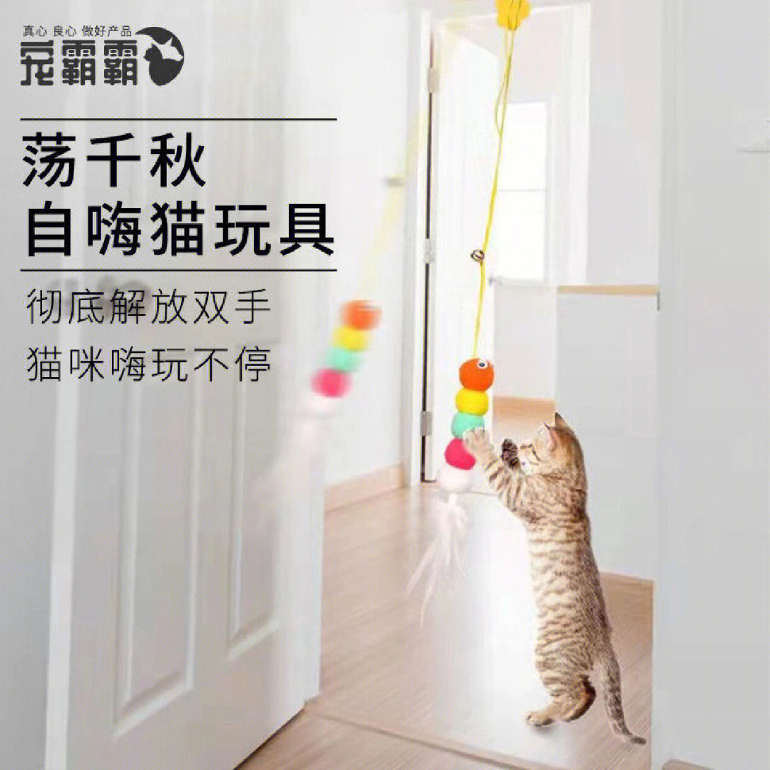 猫绳理论图片