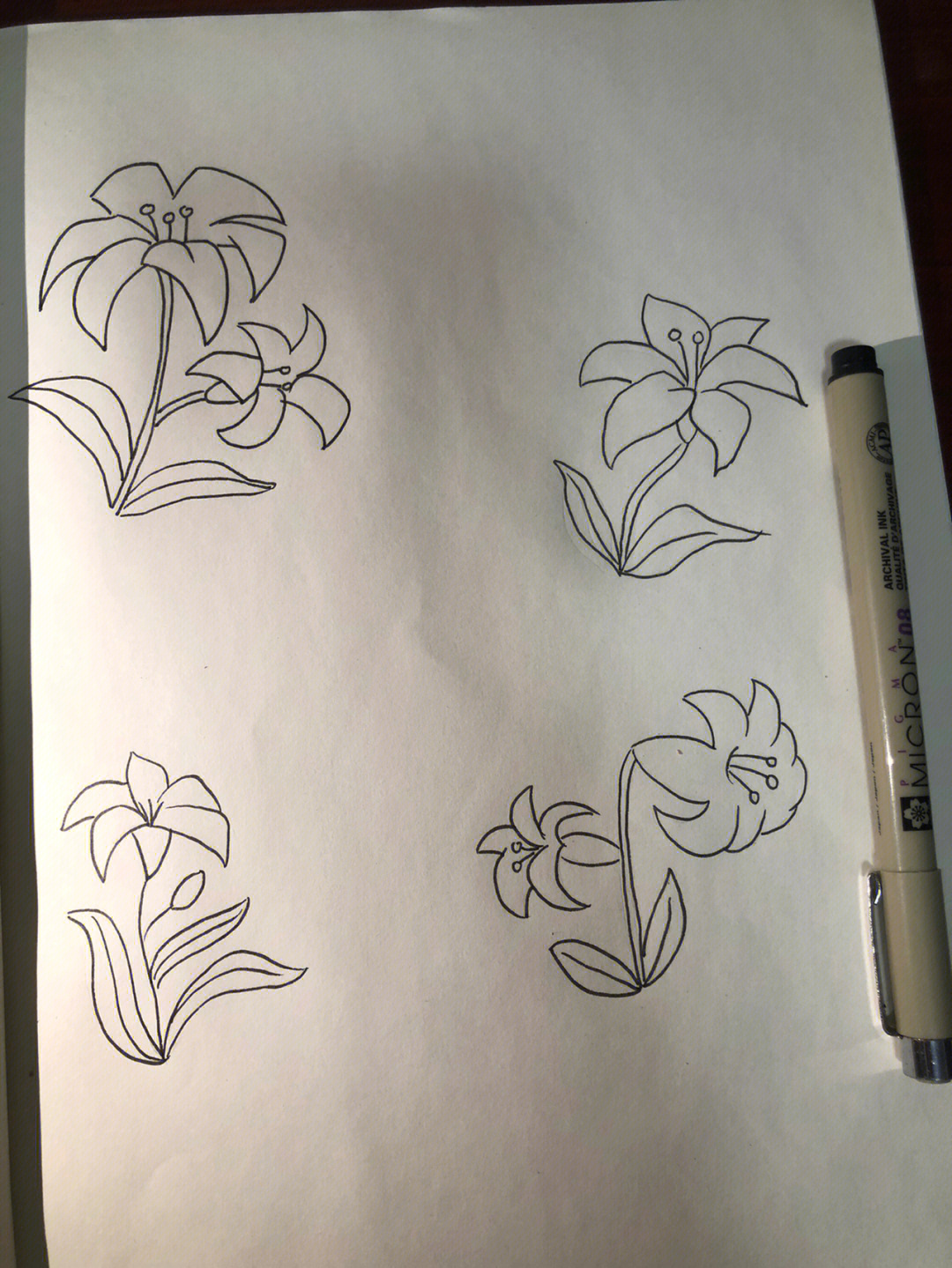 2年级美术画植物花图片