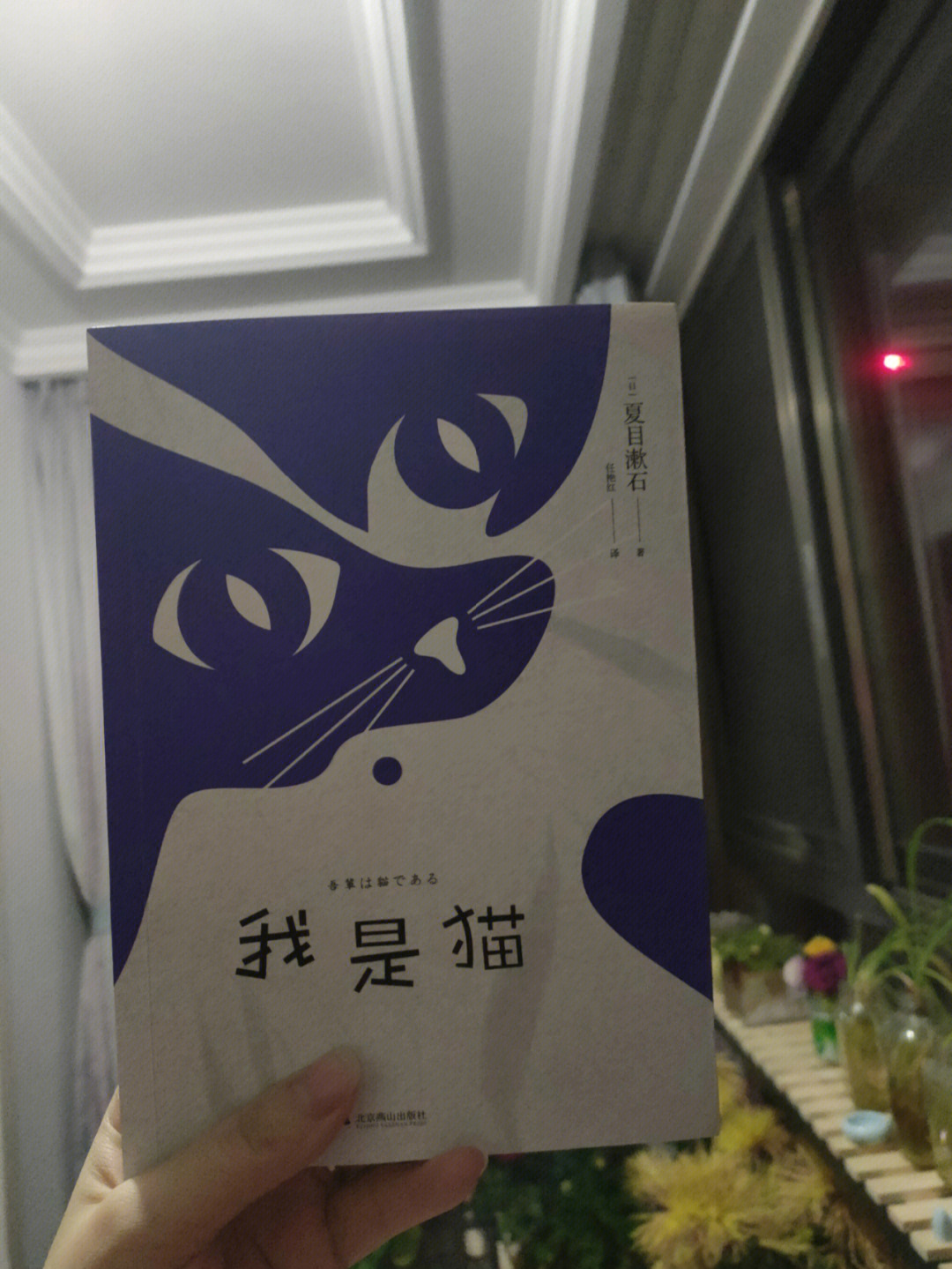 我是猫夏目漱石