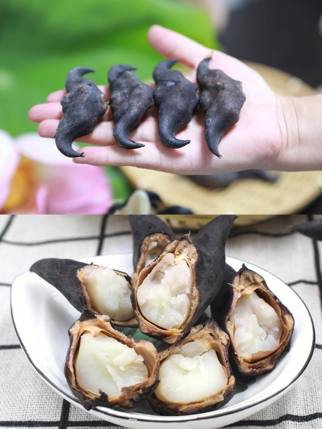 还是儿时的味道水煮菱角夏天煮熟当零食