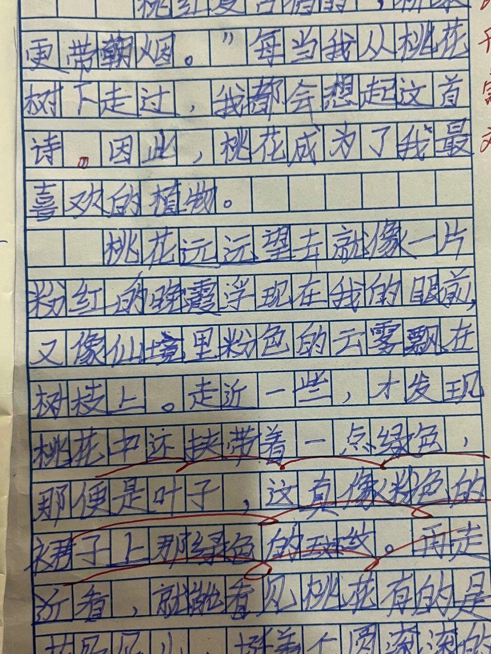 把爱带回家作文图片