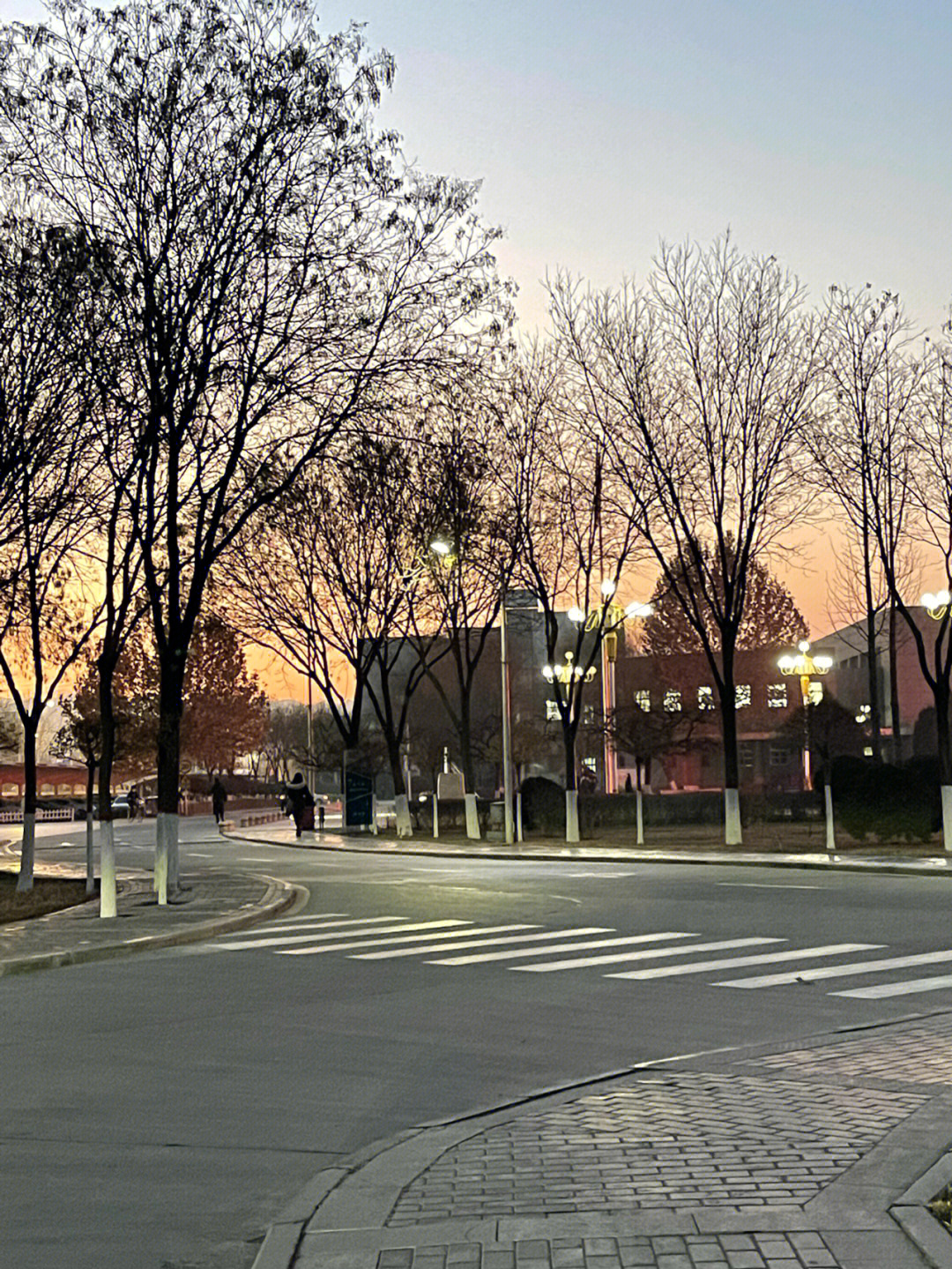 宁夏大学贺兰山校区图片