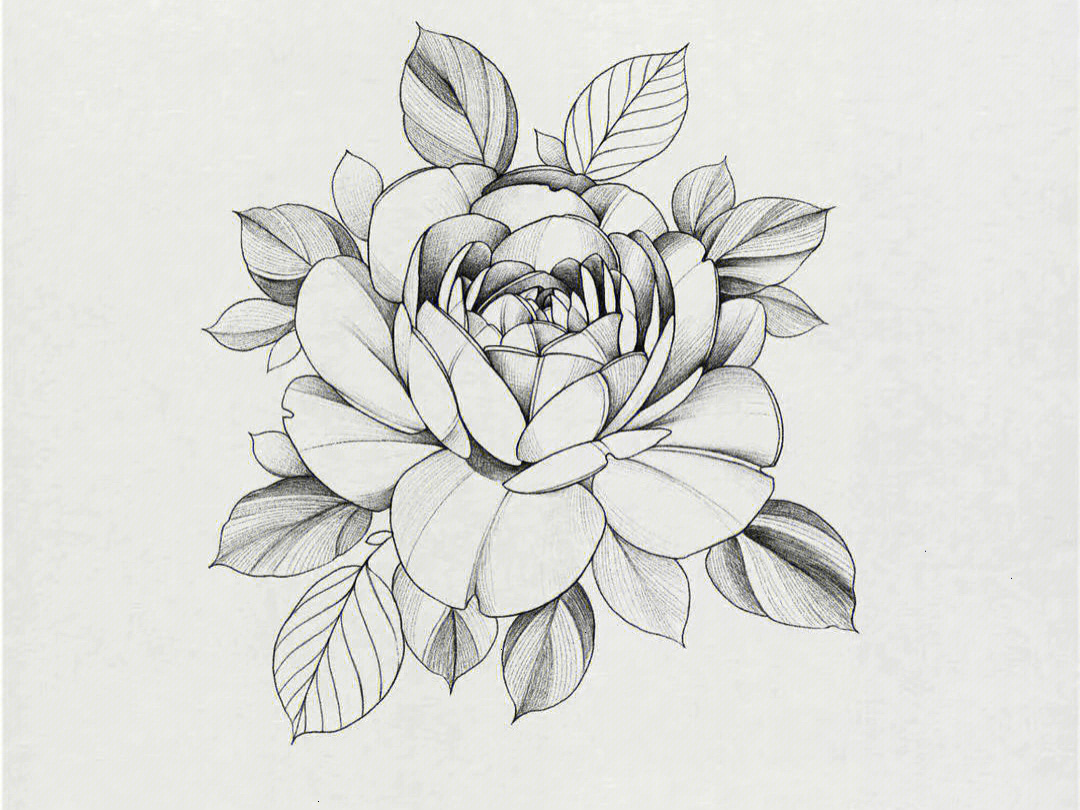 纹身手稿花朵简单图片