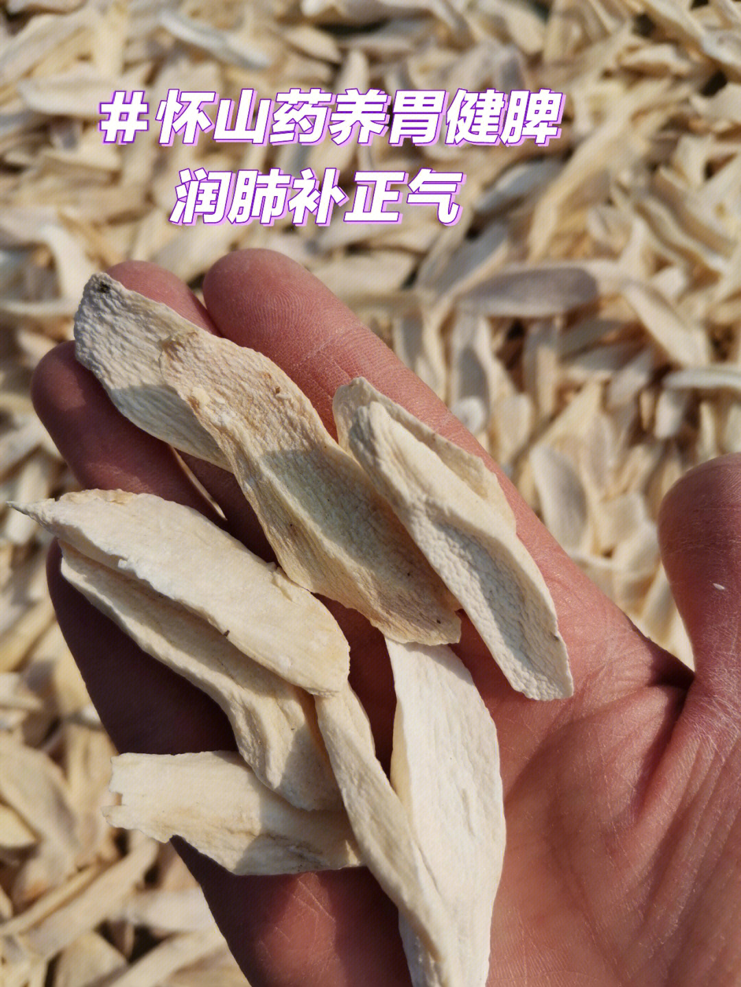 淮山药的功效与作用_淮山药功效作用与主治功能禁忌_淮山药功效作用与主治功能