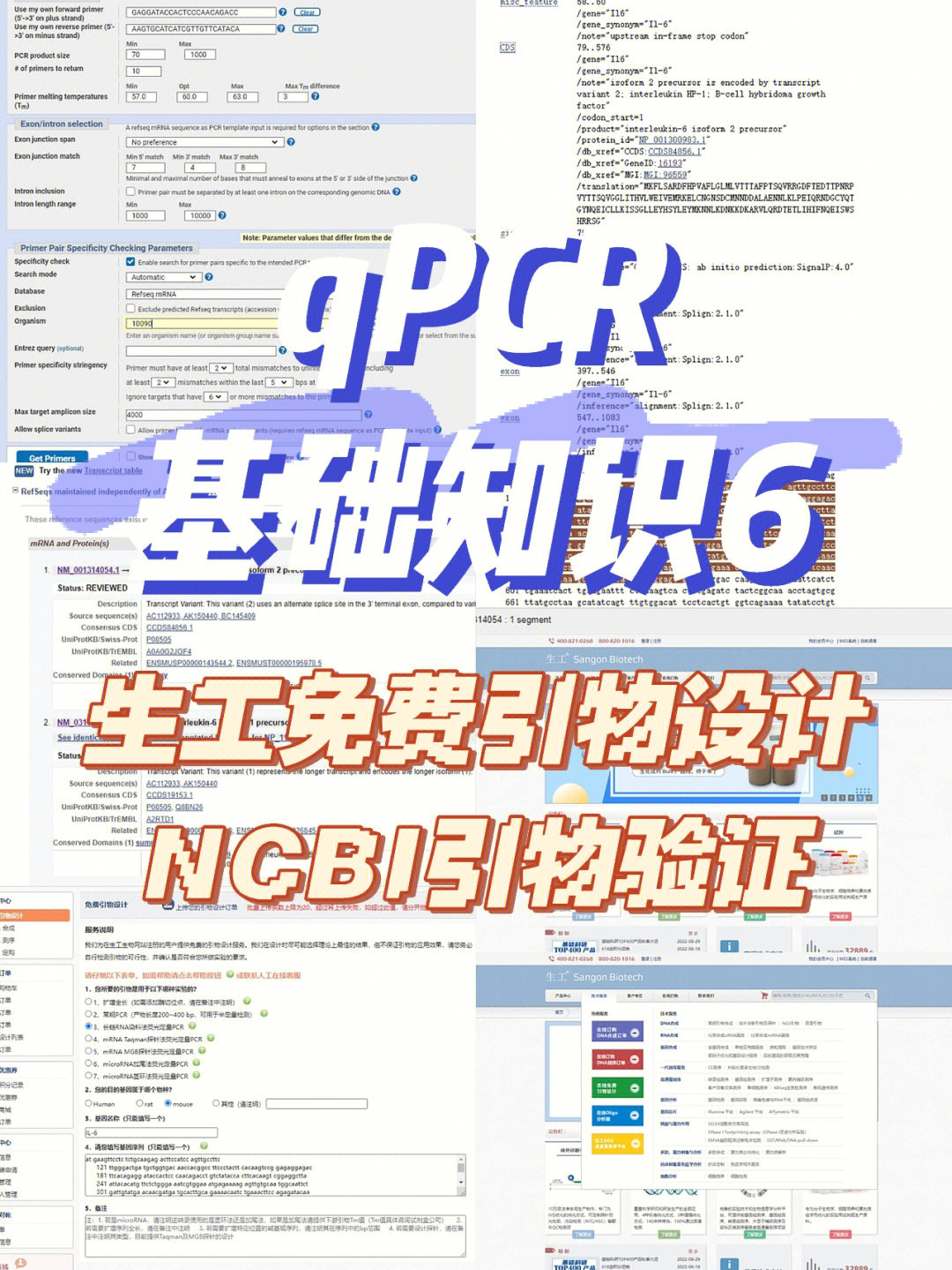 【科研】qpcr基础知识6(生工免费引物设计)