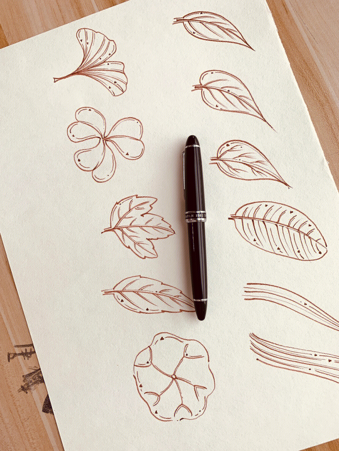 速写各种树叶的画法图片