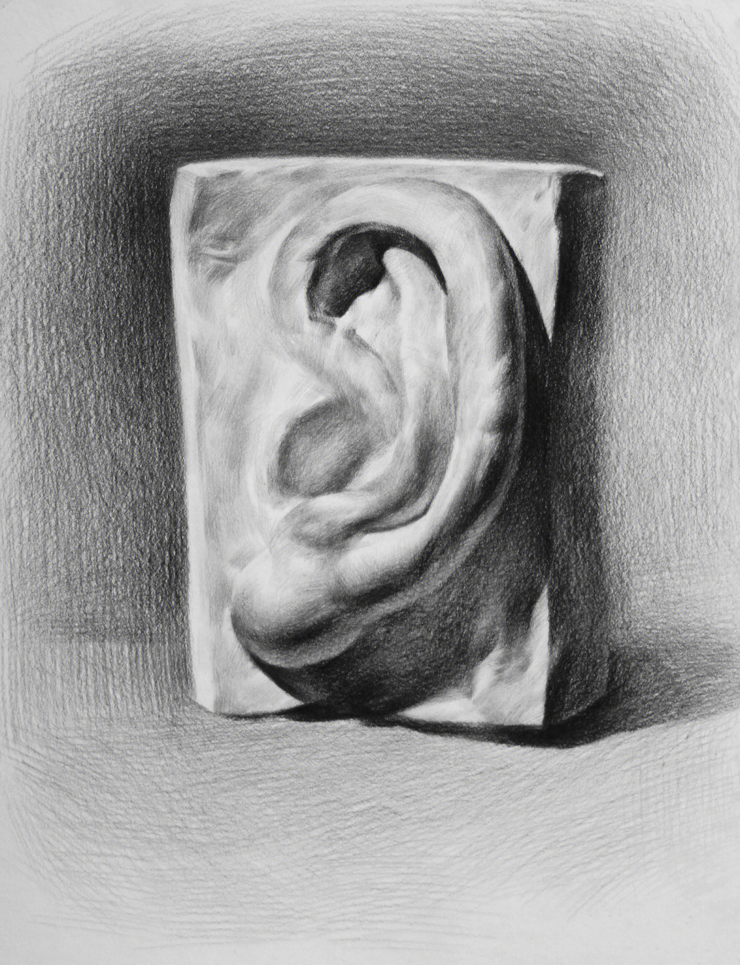 素描石膏耳朵 画法图片
