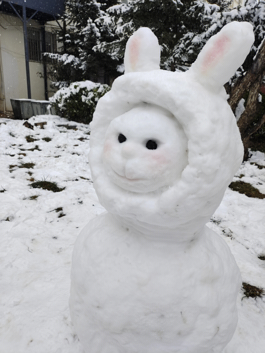 抖音兔子雪人图片