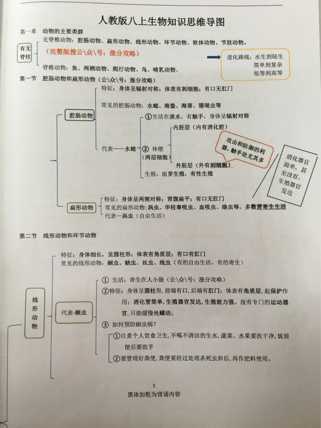 生命体征的思维导图图片