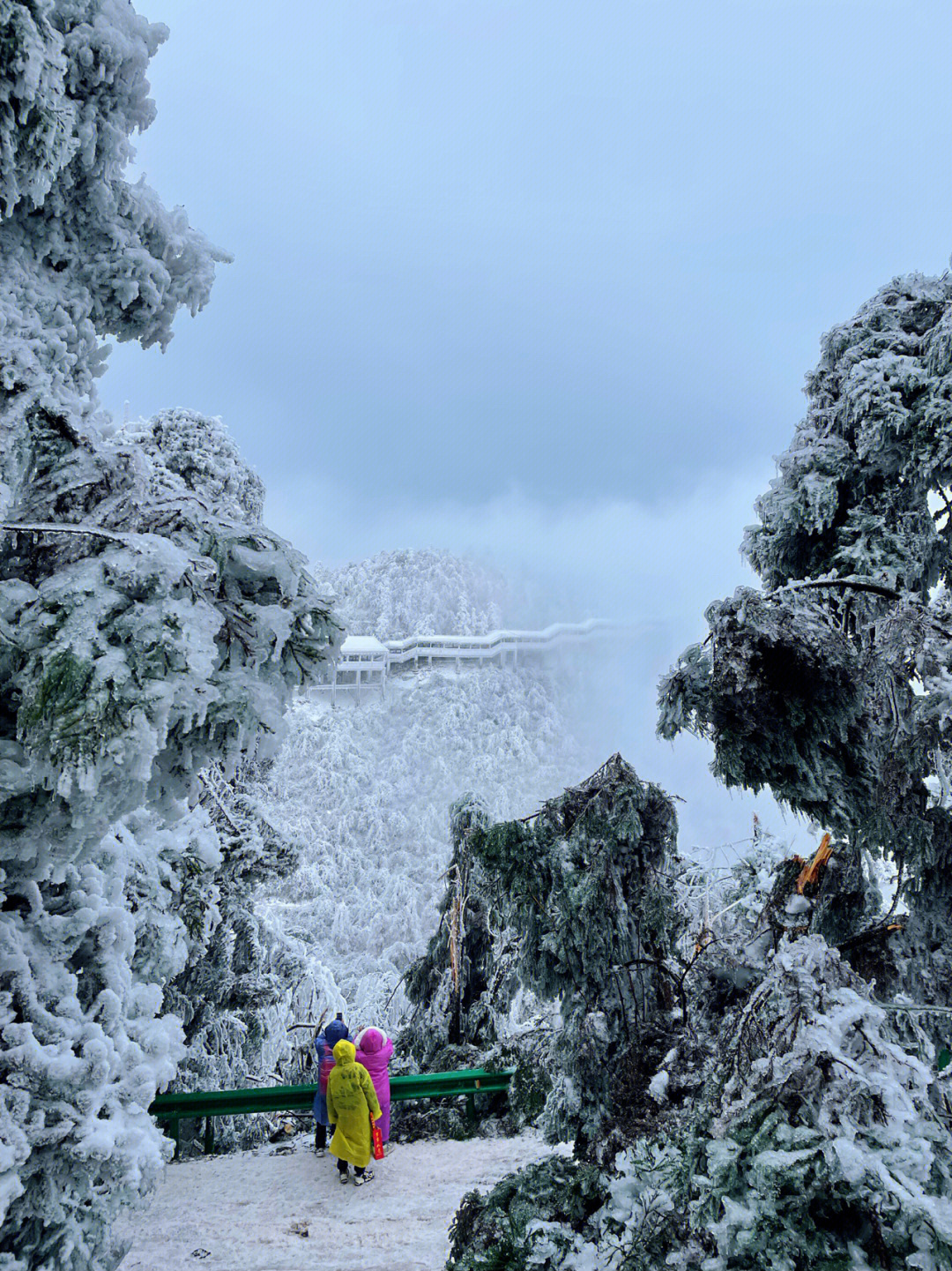 南岳衡山雾凇2022图片