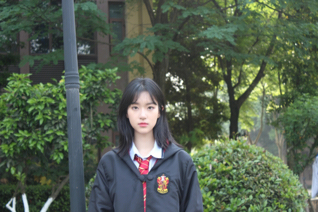 棠湖中学校花图片