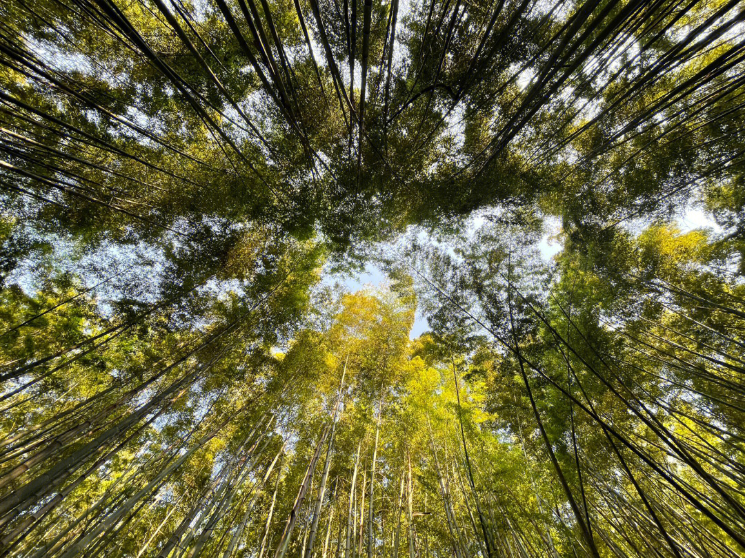 宝石山蛤蟆峰图片