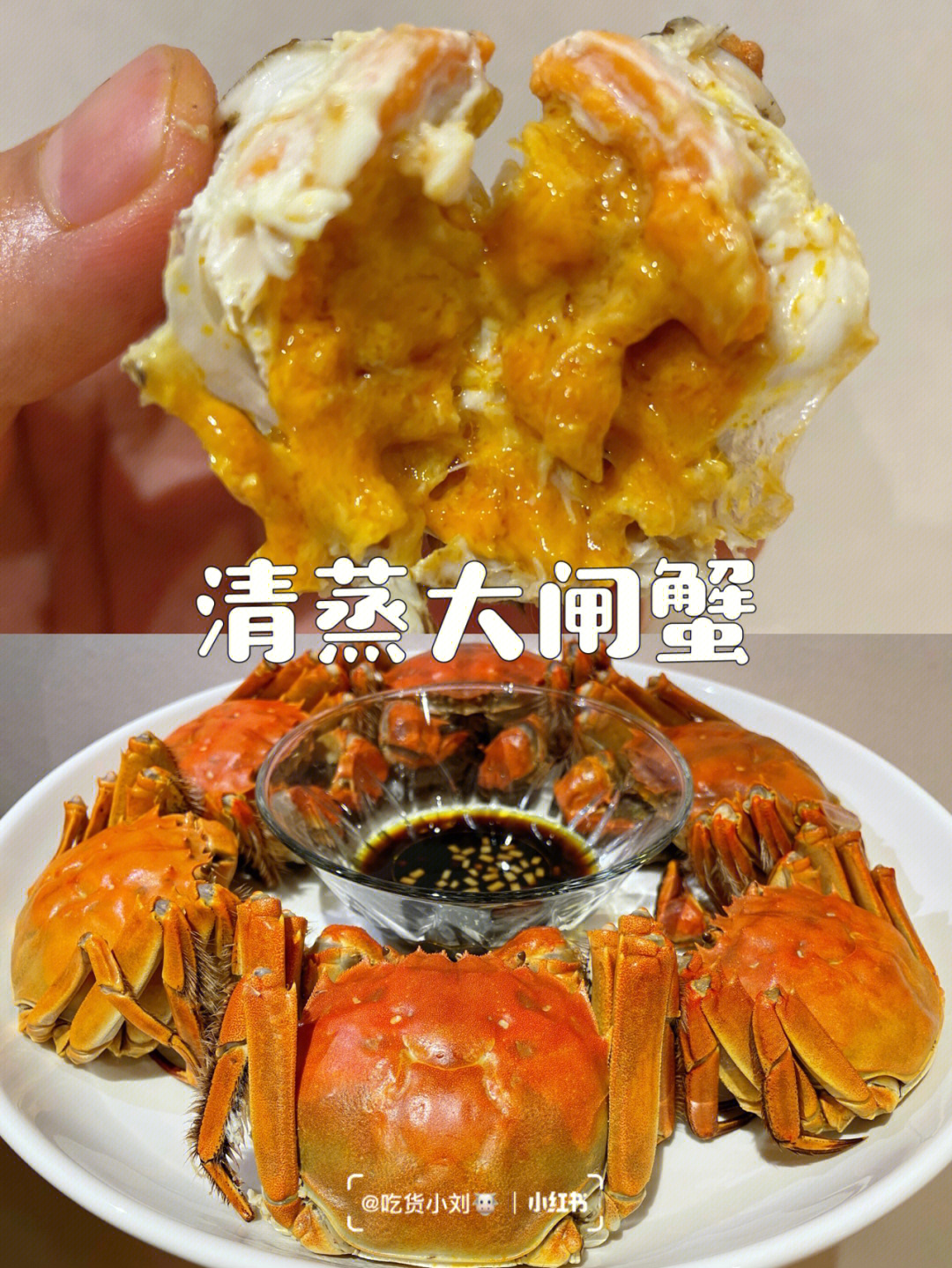 97清蒸大闸蟹0215 内附存放,清蒸,酱汁攻略7515