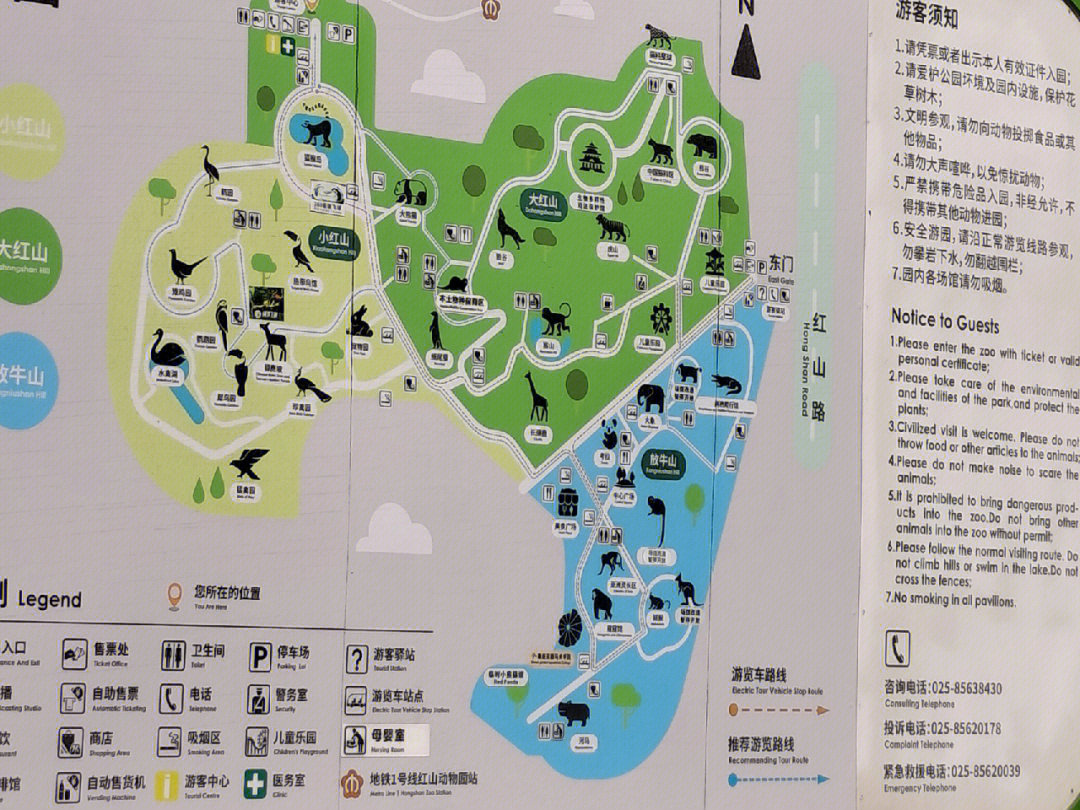 红山森林动物园路线图图片