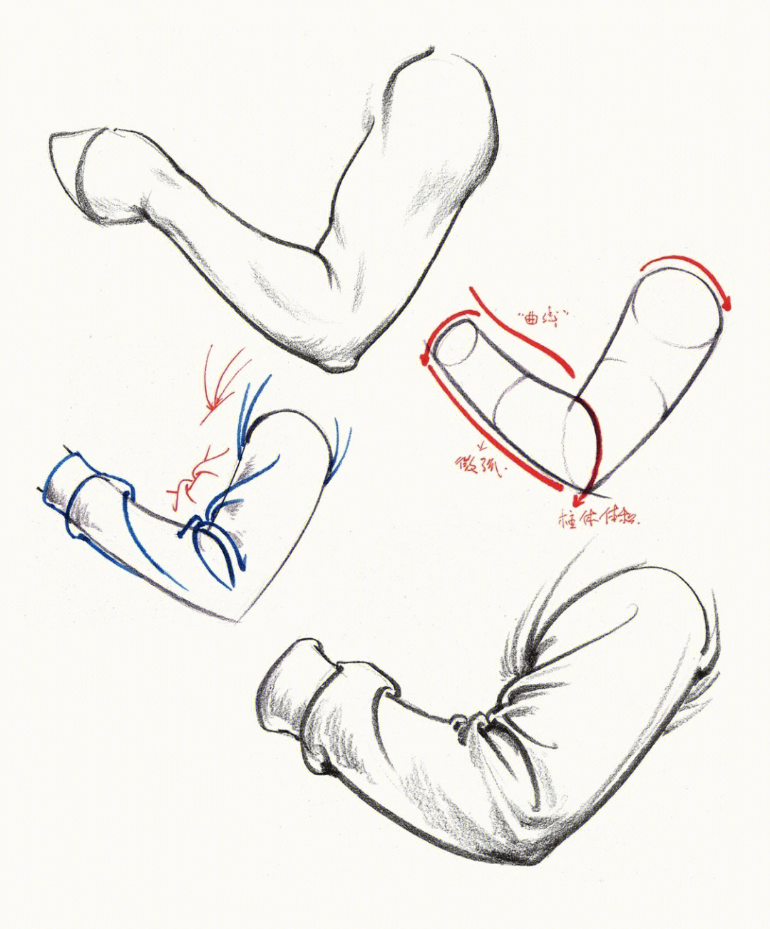 素描胳膊怎么画图片