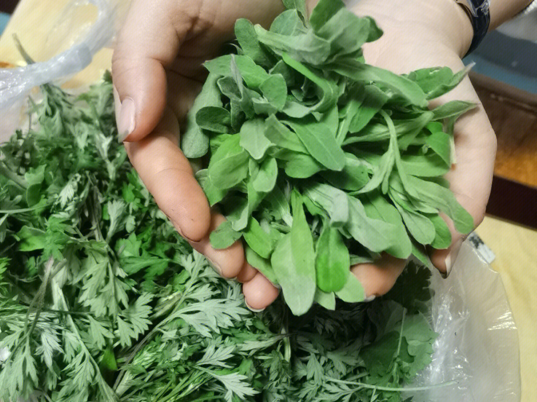 这是什么花,这是什么野菜了一天天鉴定不完的青蓬,艾草,蒿子,荠菜