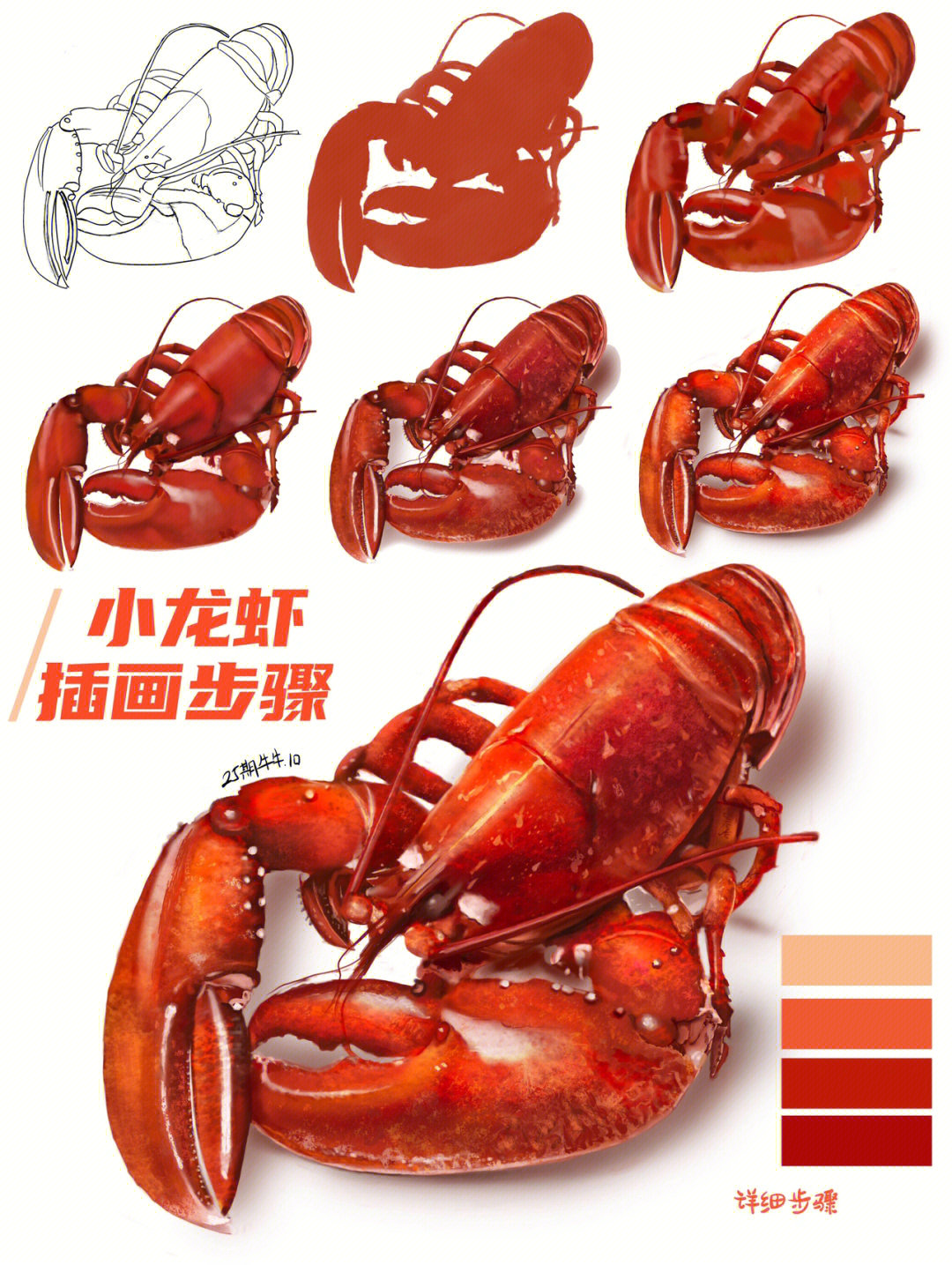 龙虾的画法图片