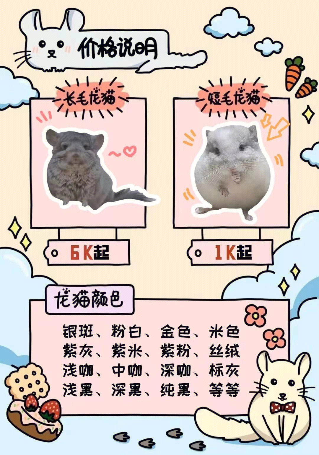 又萌又好rua的灵魂伴侣龙猫快领回家吧