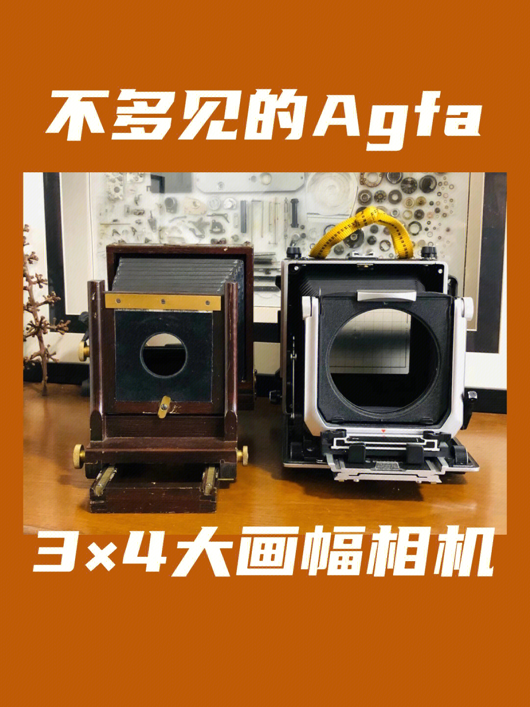 agfavista相机图片