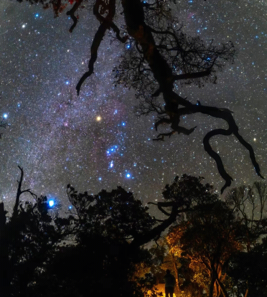 星空满天温肆图片