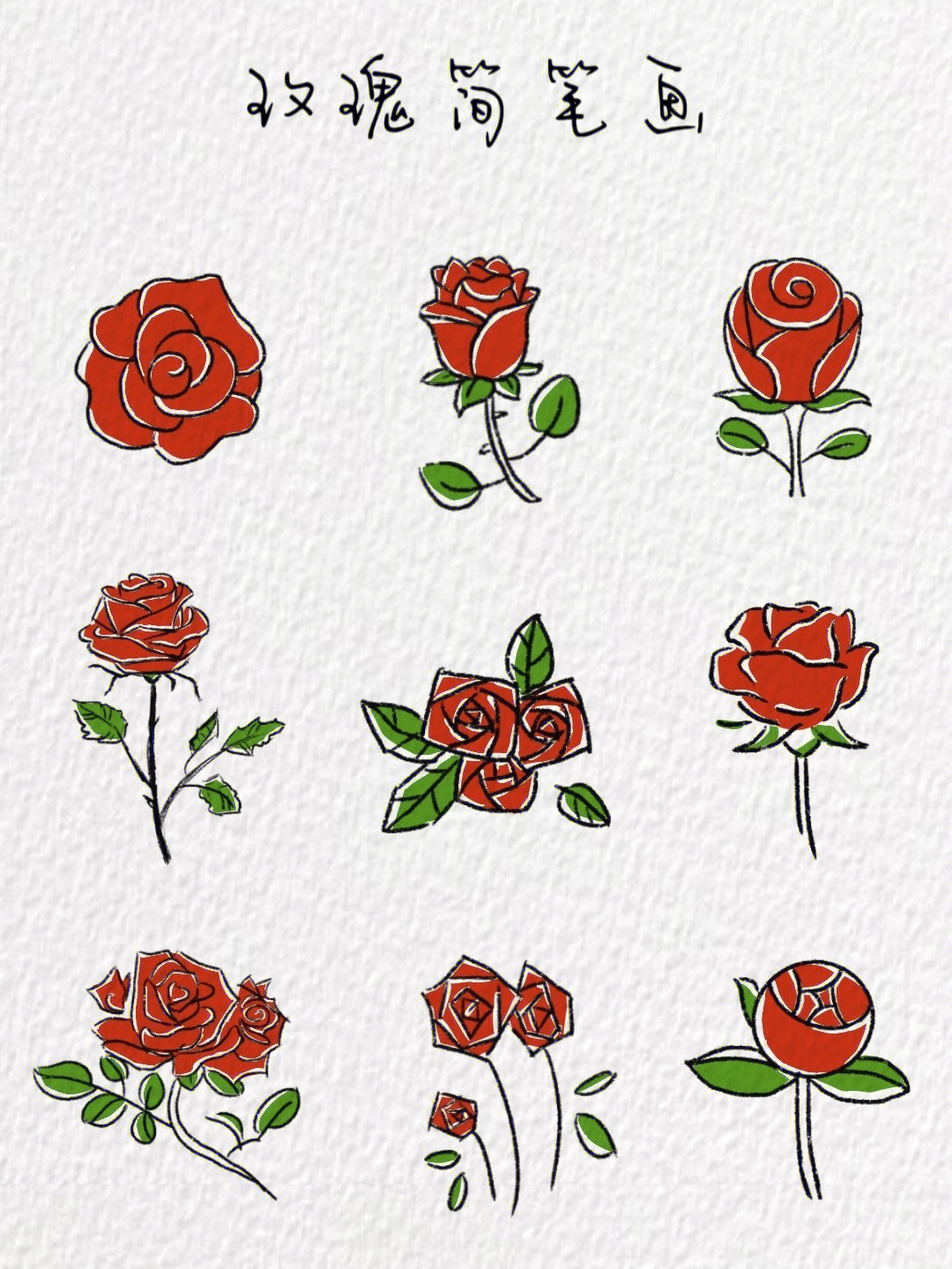 玫瑰插图简笔画图片