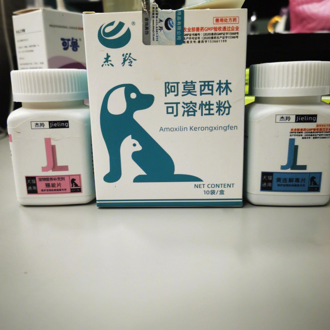 狗狗胰腺炎吃什么药图片