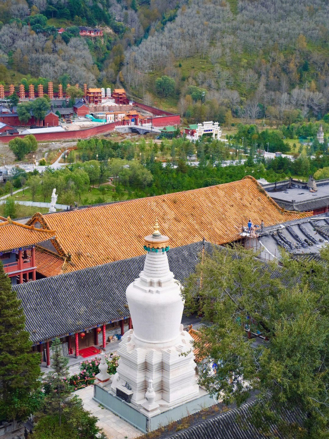 五台山圆照寺海信上师图片