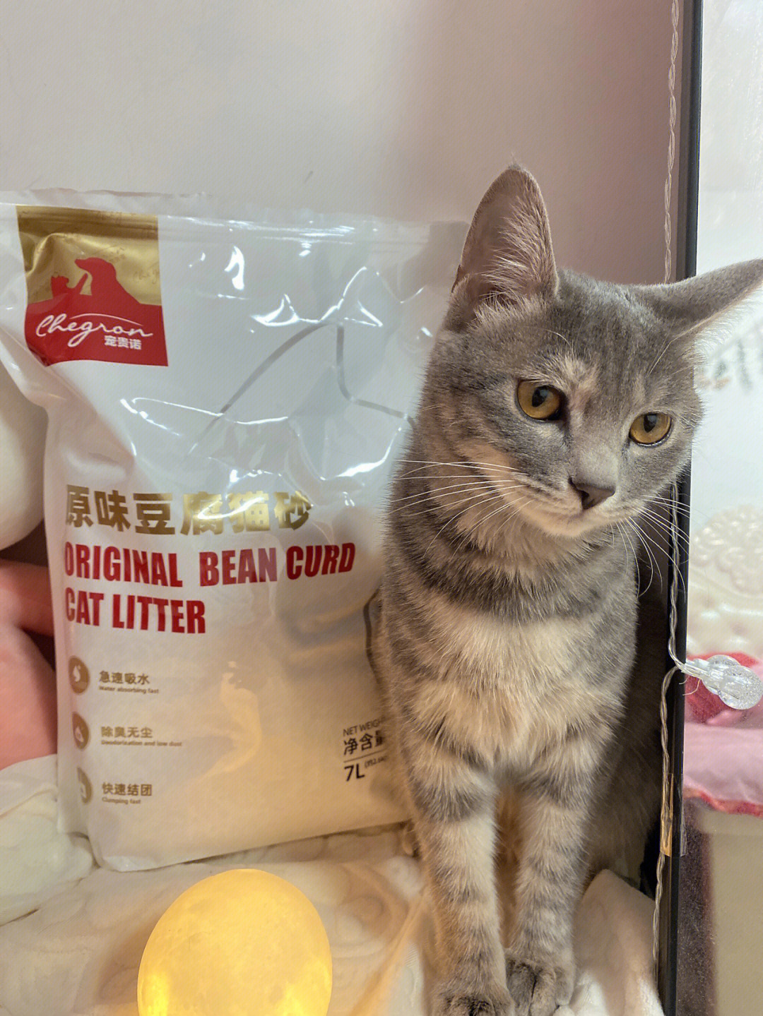 宠贵诺猫砂