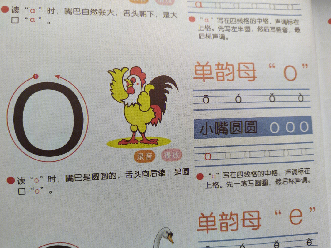 汉语拼音o的学习