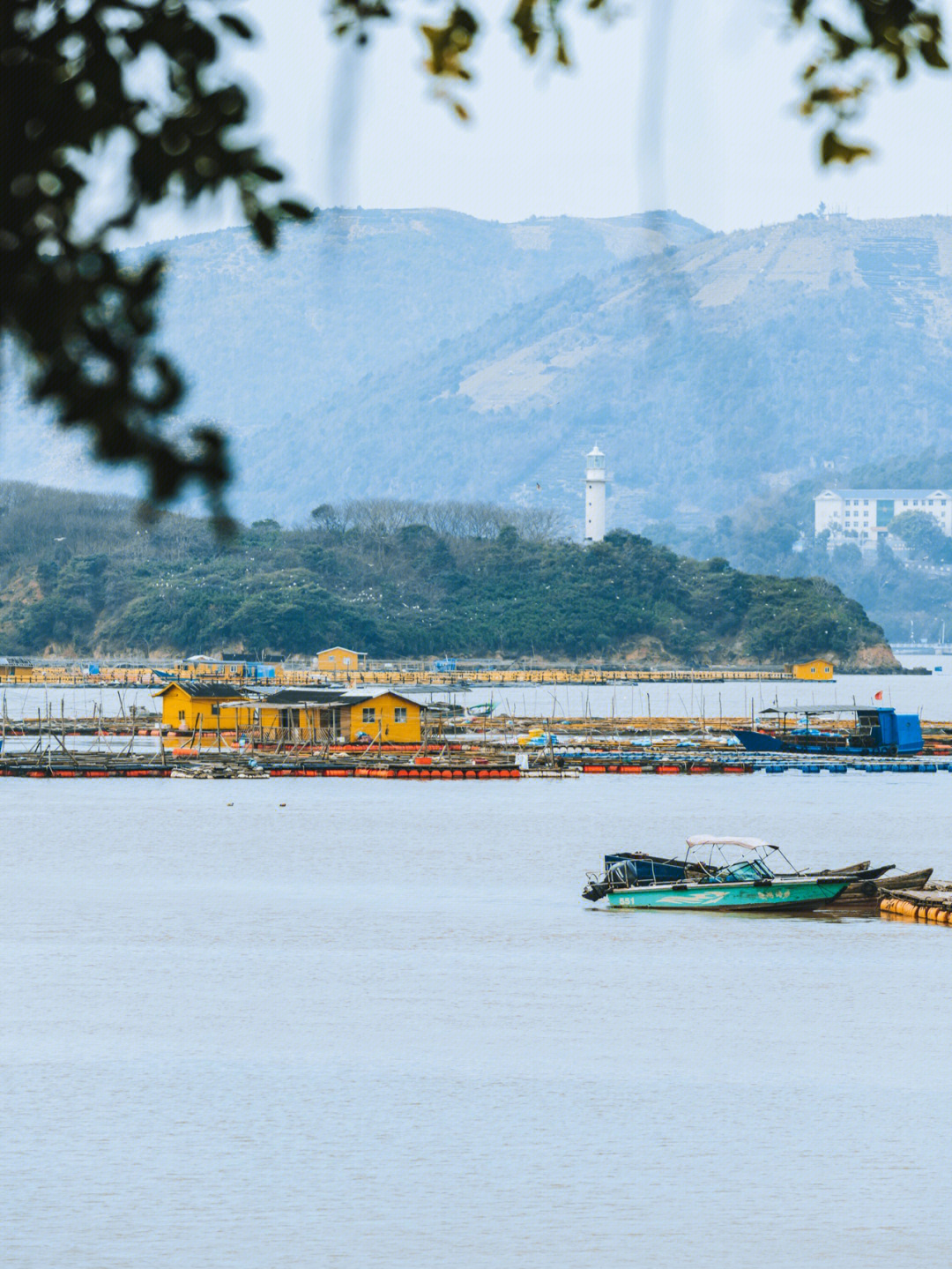 苍南县沿浦镇旅游地图图片