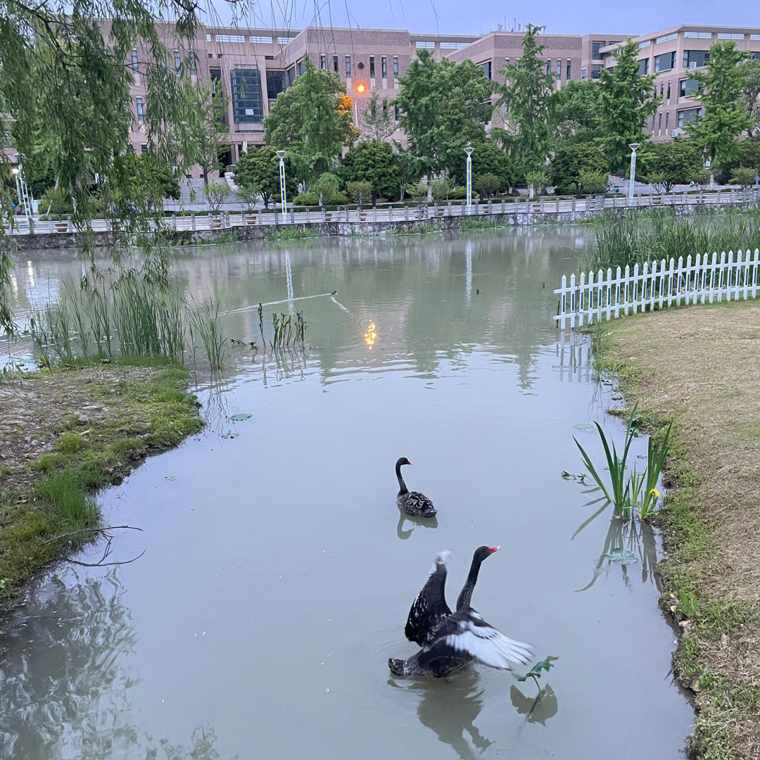 台州学院历年图片