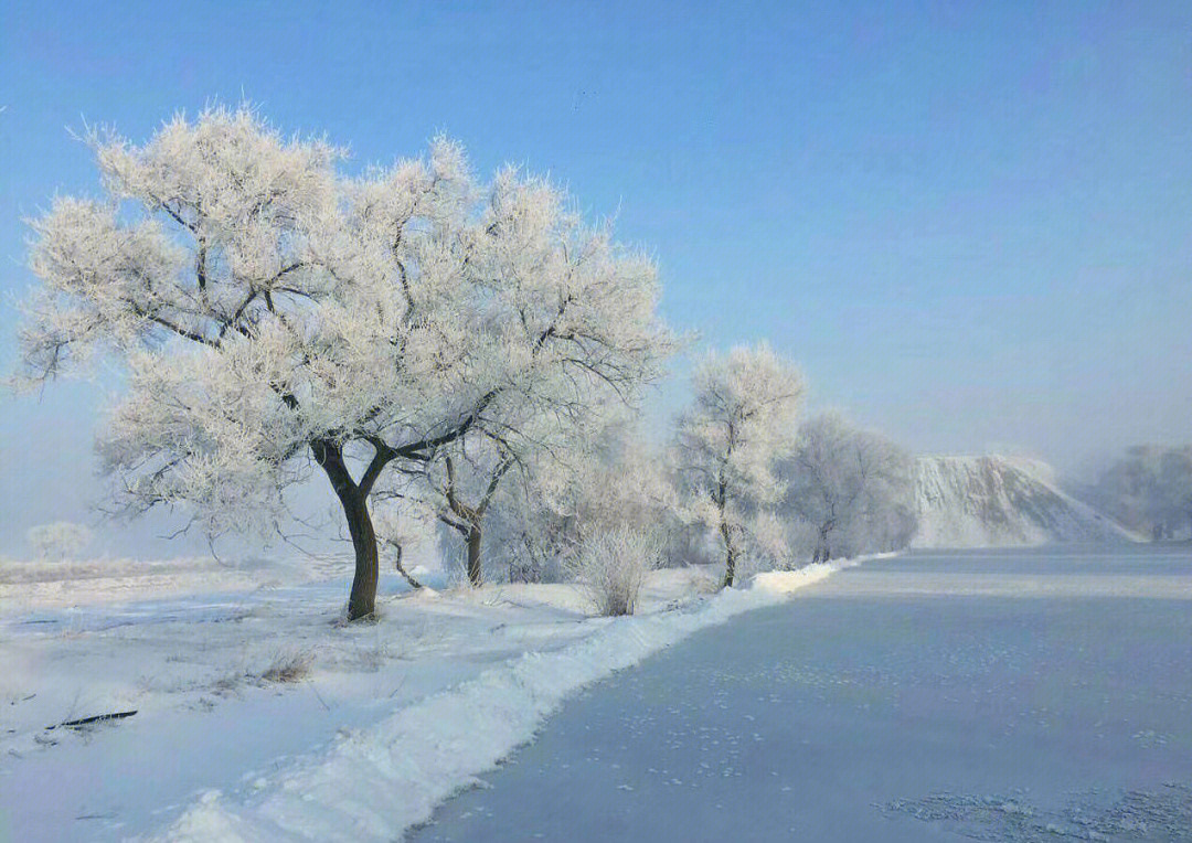 冬天有什么景物图片