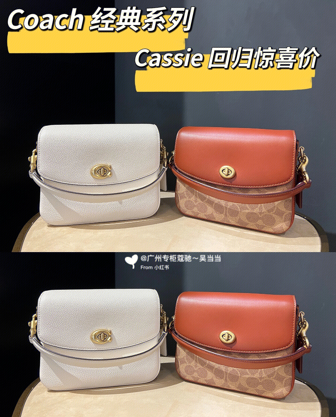 cassieskins图片