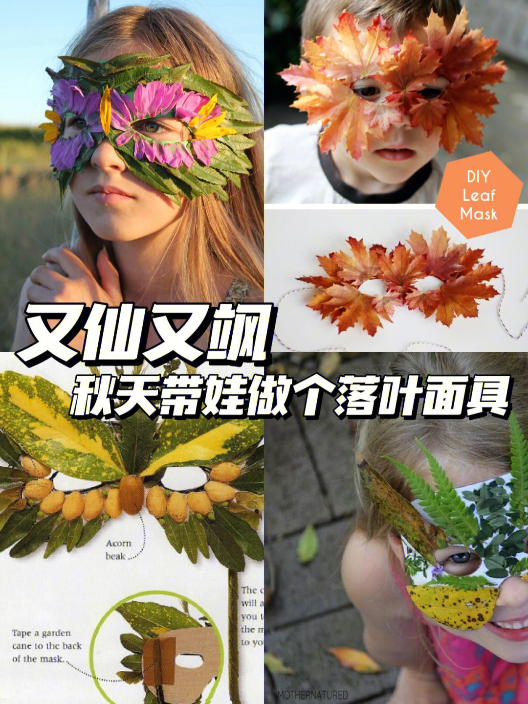 绘画植物面具教案大班图片