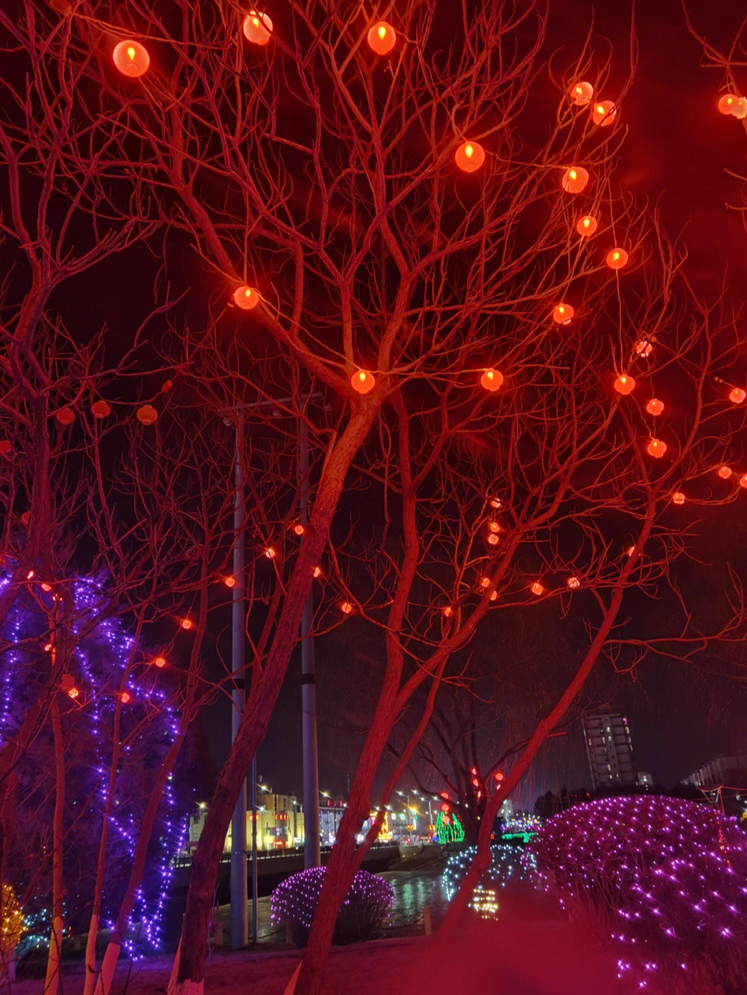 春节夜景文案图片