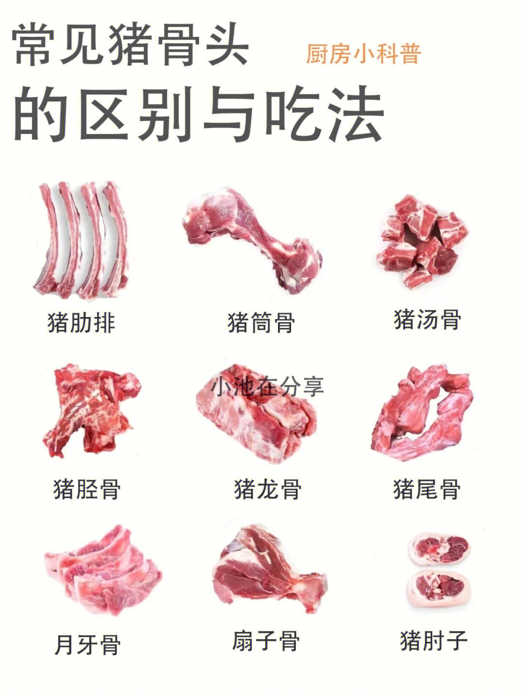 猪骨头分类图片