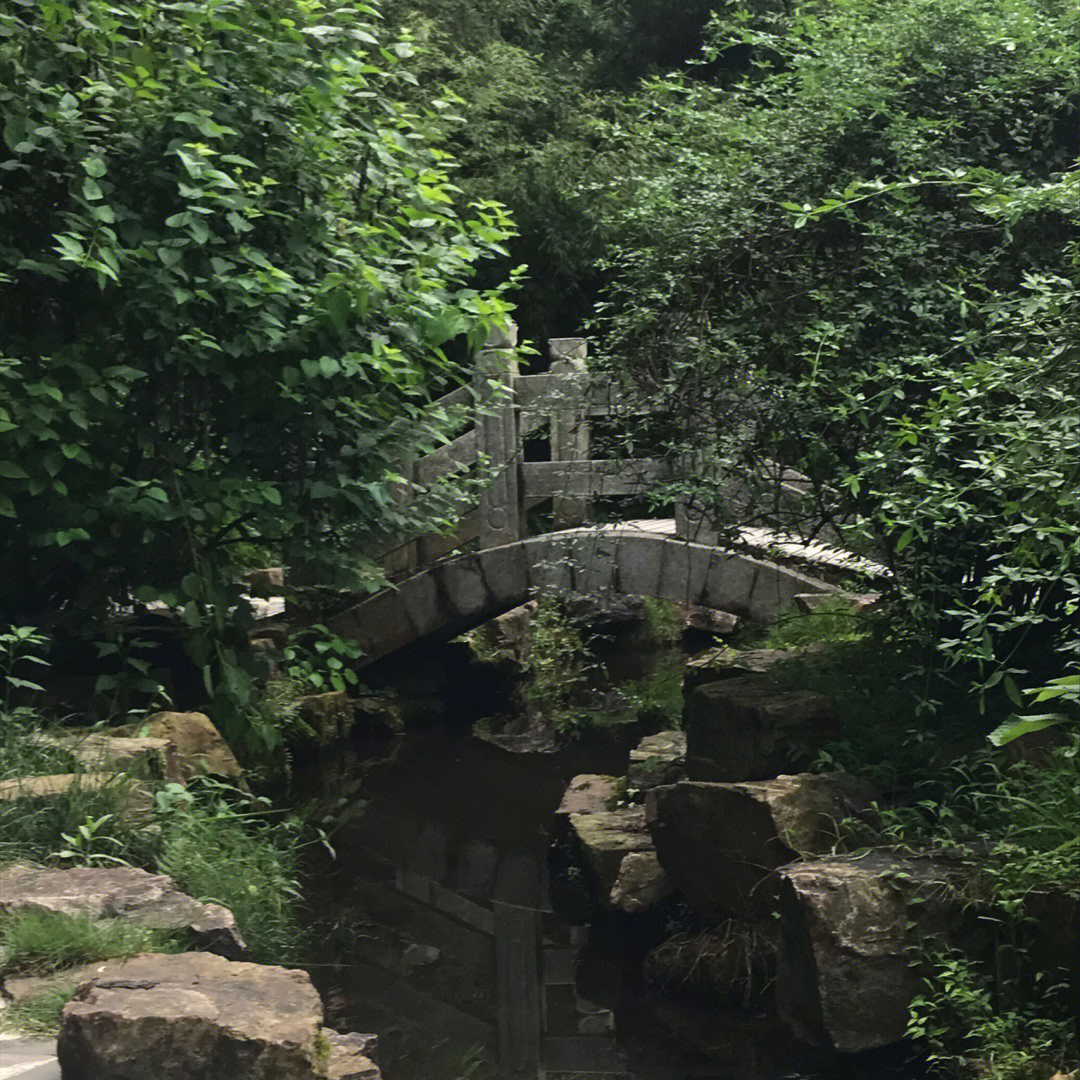 岳麓山夏天图片