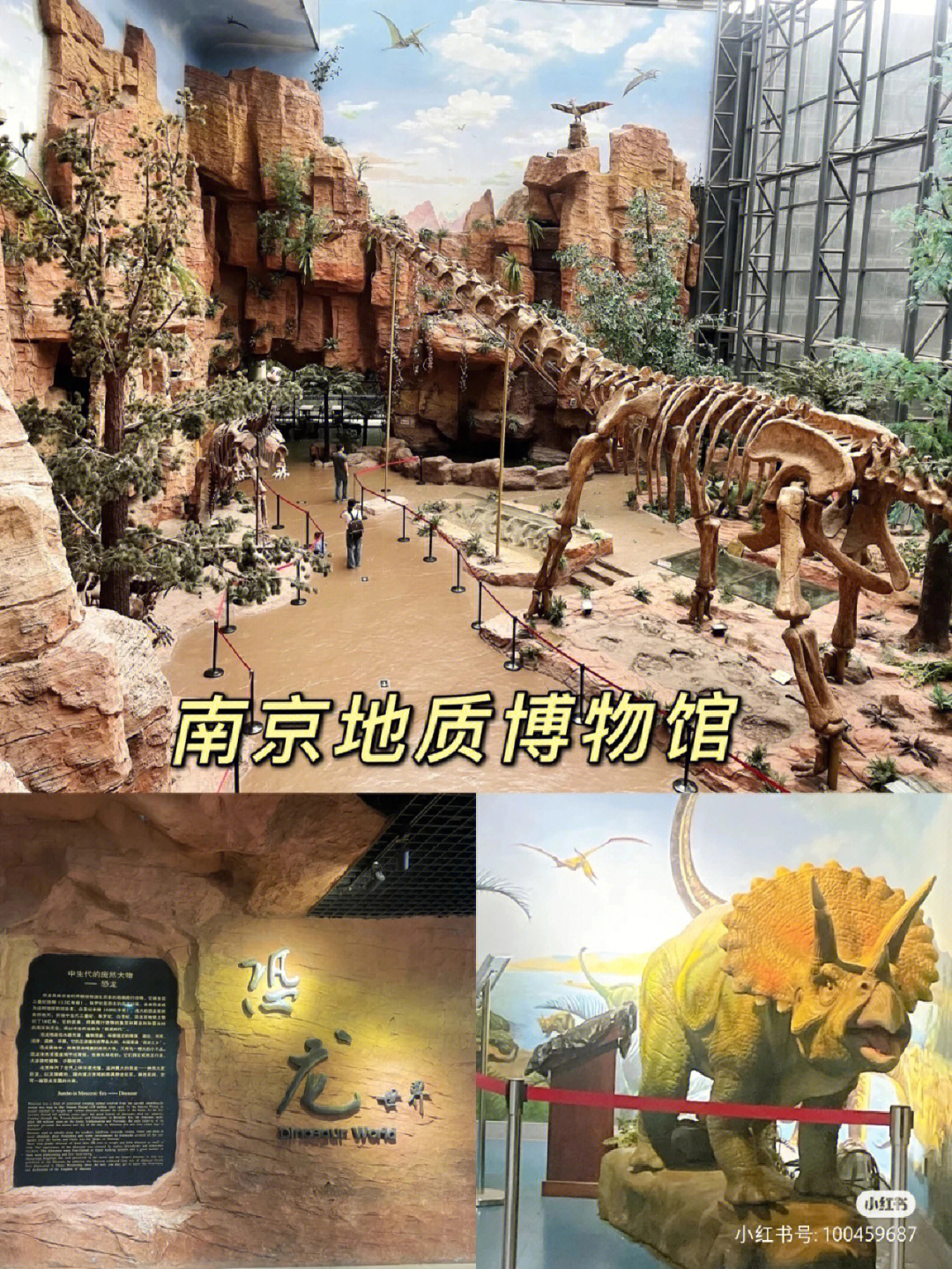 侏罗纪世界打卡地南京地质博物馆