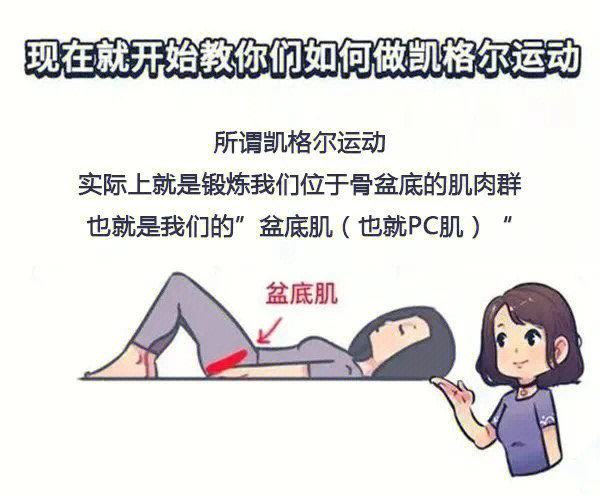 9999697115凯格尔运动,帮助产后女性盆底肌恢复