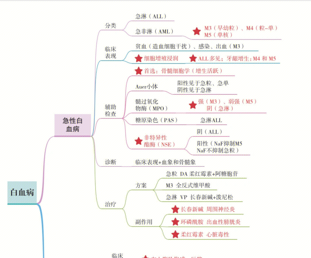 思维导图的总结方法你可还喜欢