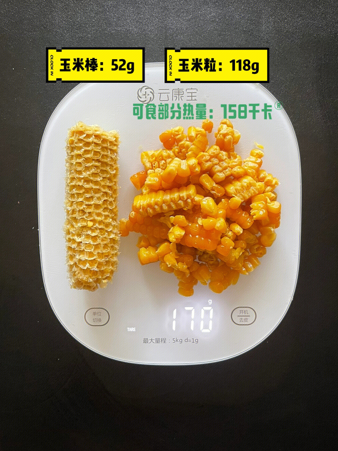 博金100玉米品种简介图片
